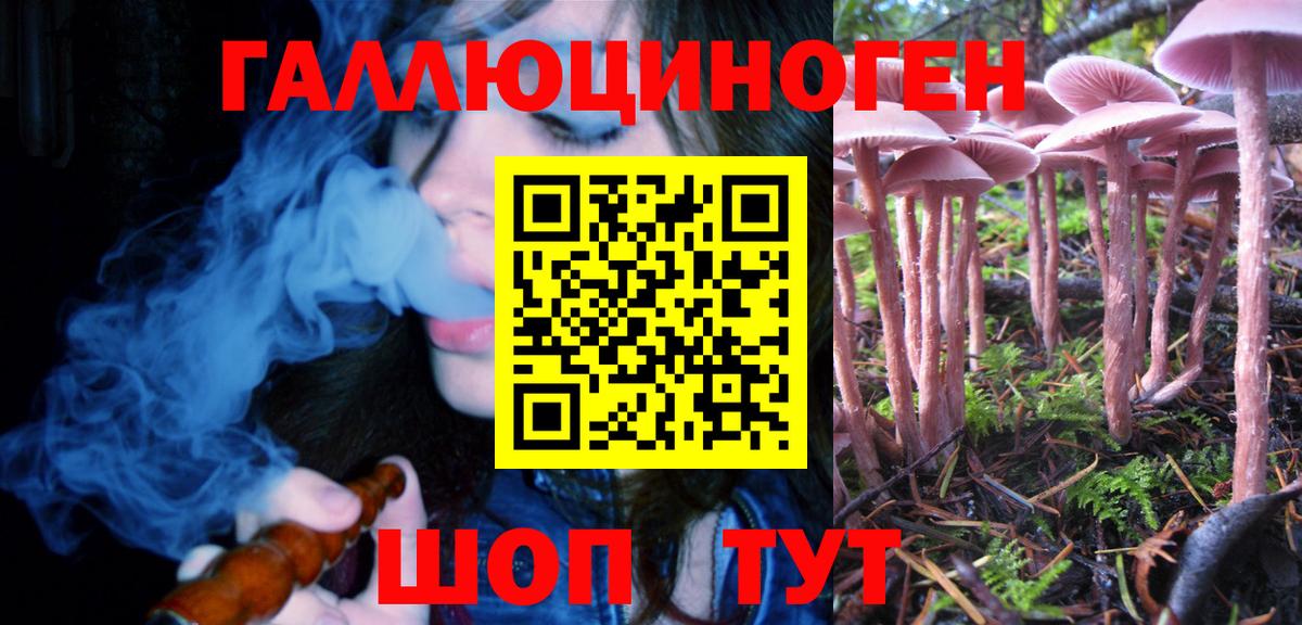 Псилоцибиновые грибы GOLDEN TEACHER Новозыбков