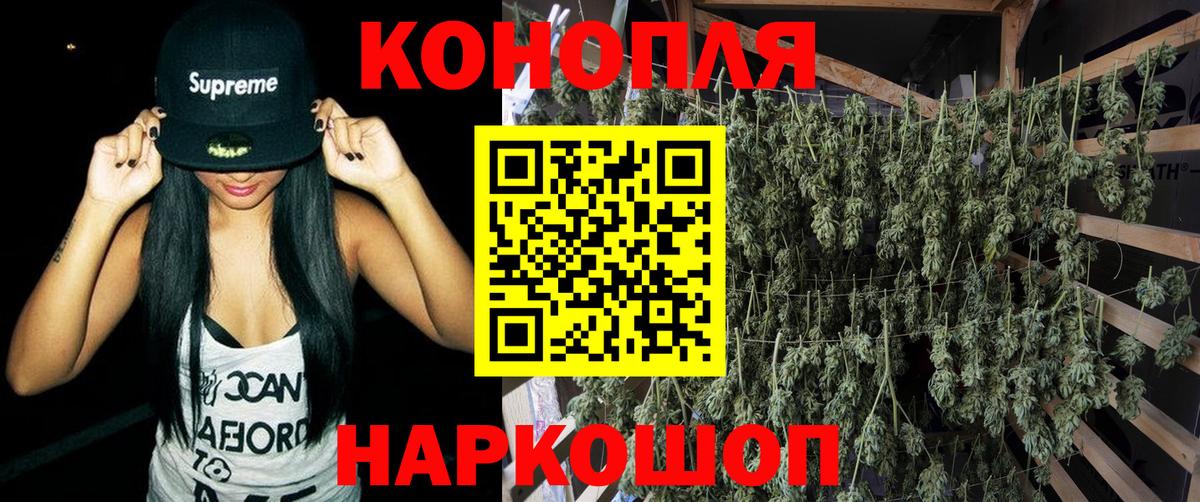 МАРИХУАНА семена  Бошки марихуана семена  Каннабис конопля  Марихуана ГИДРОПОН  Новозыбков  Вход с VPN 